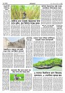 shwapno2026_Page_5